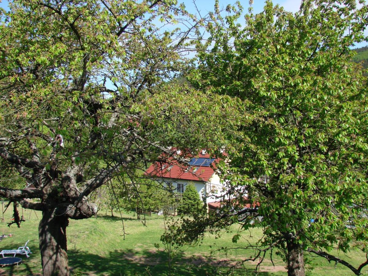 Agroturystyka Gluszyca Lomnica Lomnica  外观 照片